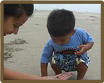 Finding and Learning about sand crabs