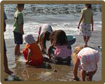 Students searching the beach for signs of marine life